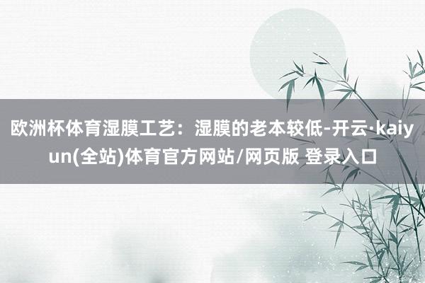 欧洲杯体育湿膜工艺:湿膜的老本较低-开云·kaiyun(全站)体育官方网站/网页版 登录入口