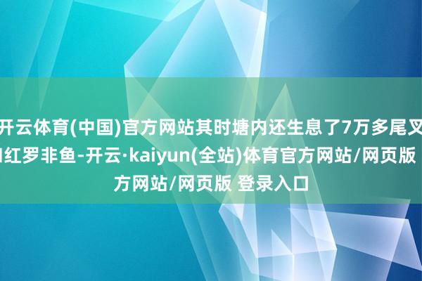 开云体育(中国)官方网站其时塘内还生息了7万多尾叉尾鮰鱼和红罗非鱼-开云·kaiyun(全站)体育官方网站/网页版 登录入口