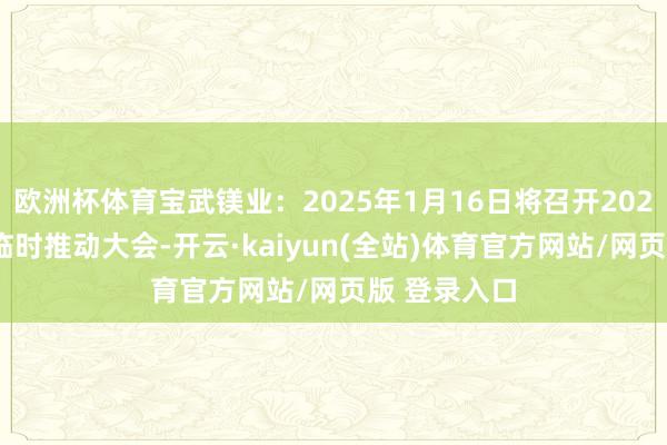 欧洲杯体育宝武镁业：2025年1月16日将召开2025年第一次临时推动大会-开云·kaiyun(全站)体育官方网站/网页版 登录入口