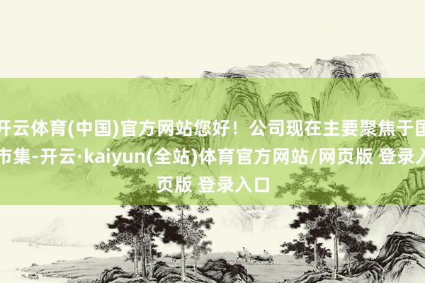 开云体育(中国)官方网站您好！公司现在主要聚焦于国内市集-开云·kaiyun(全站)体育官方网站/网页版 登录入口