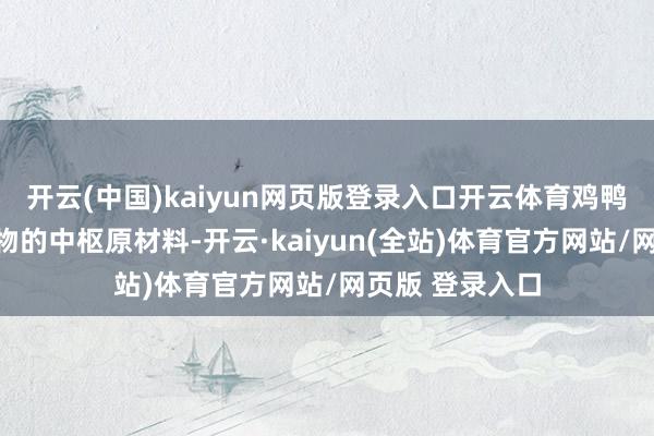 开云(中国)kaiyun网页版登录入口开云体育鸡鸭肉恰是宠物食物的中枢原材料-开云·kaiyun(全站)体育官方网站/网页版 登录入口