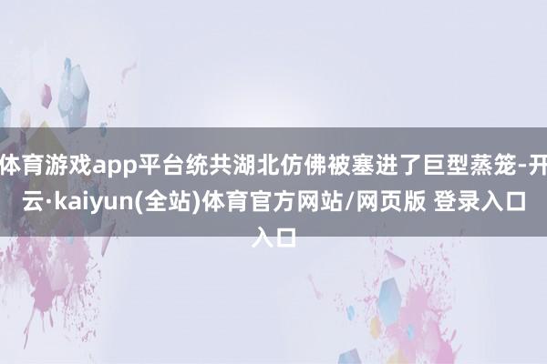 体育游戏app平台统共湖北仿佛被塞进了巨型蒸笼-开云·kaiyun(全站)体育官方网站/网页版 登录入口