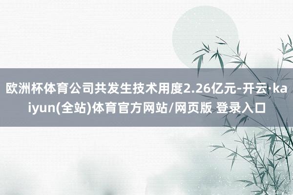 欧洲杯体育公司共发生技术用度2.26亿元-开云·kaiyun(全站)体育官方网站/网页版 登录入口
