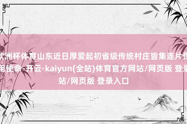 欧洲杯体育山东近日厚爱起初省级传统村庄皆集连片保护应用使命-开云·kaiyun(全站)体育官方网站/网页版 登录入口